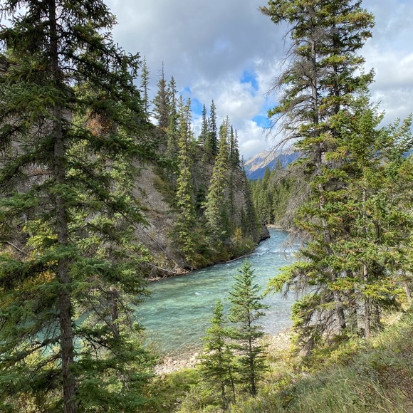 Meet your Posher, Joan - Picture 3 of 10